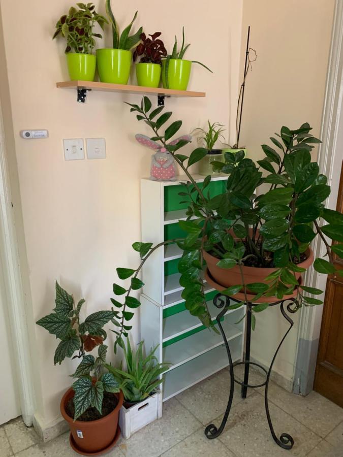 Mini Penthouse Λάρνακα Εξωτερικό φωτογραφία